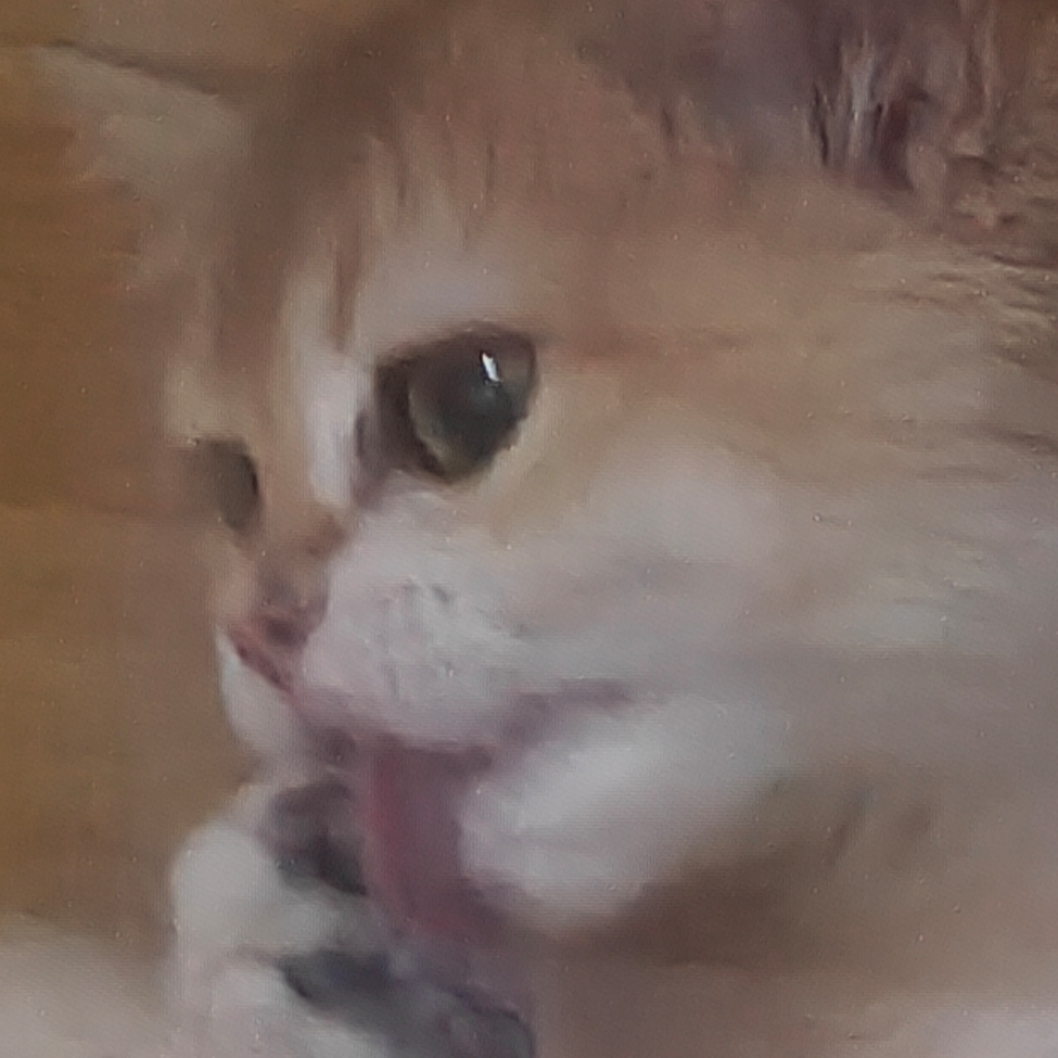 解锁所有成就