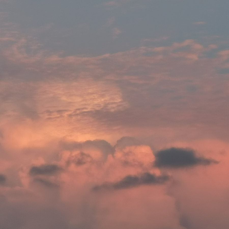 今天也没有钓上红龙