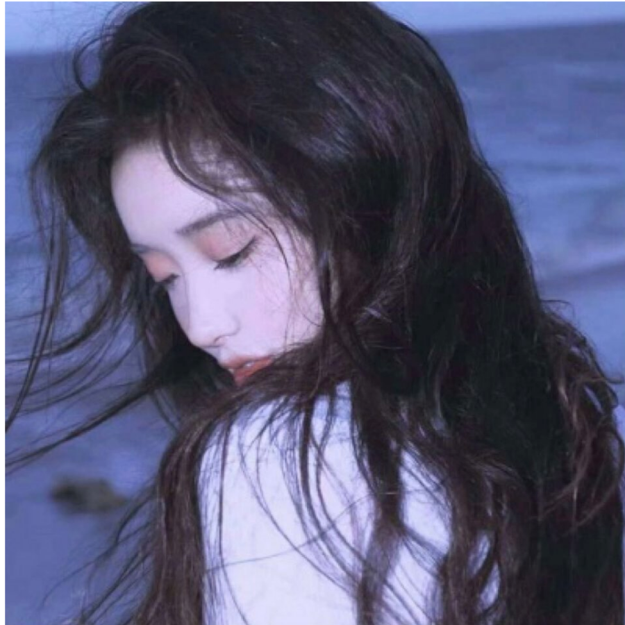 玫瑰