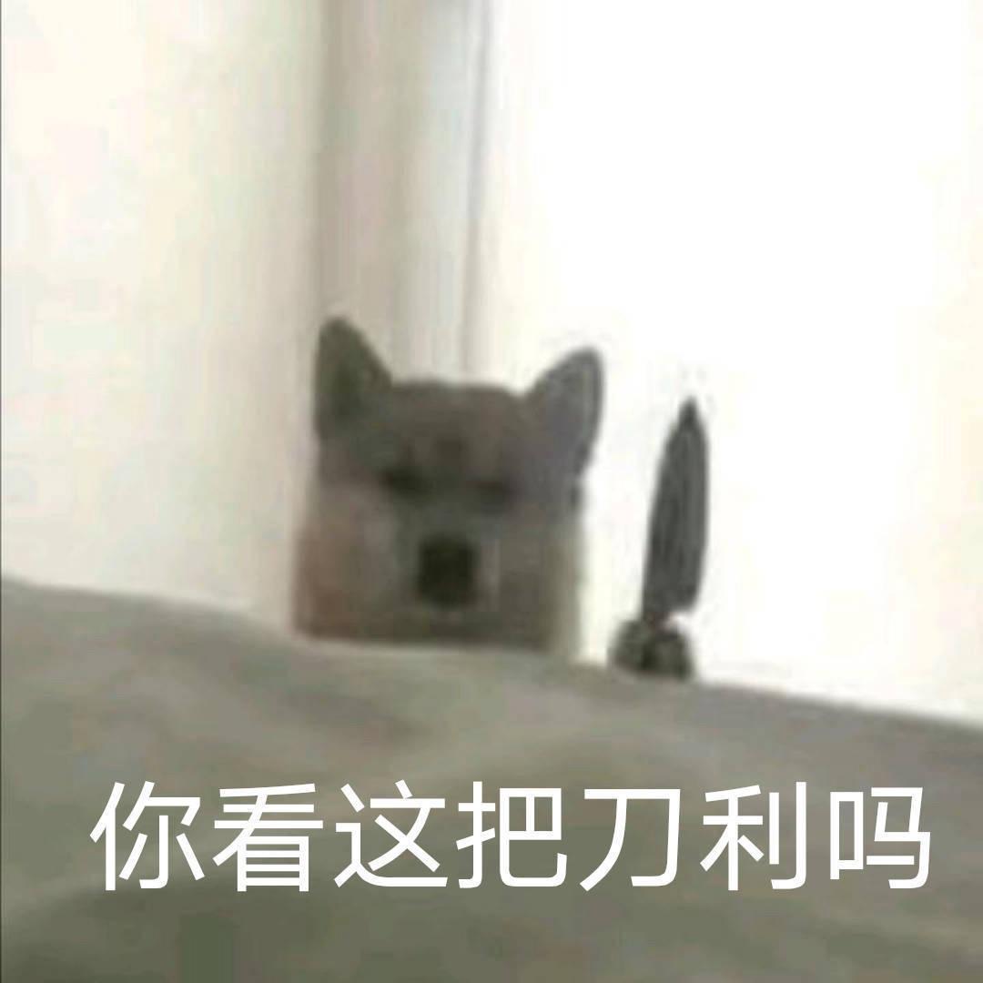 存活确认