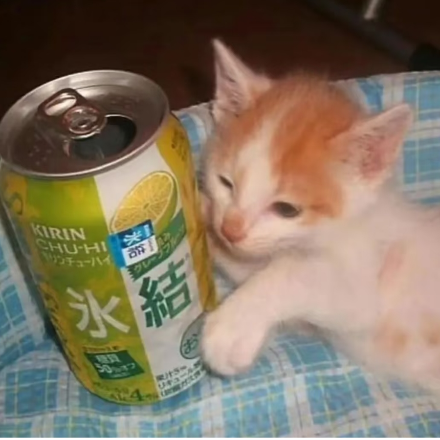 四月是你的谎言.