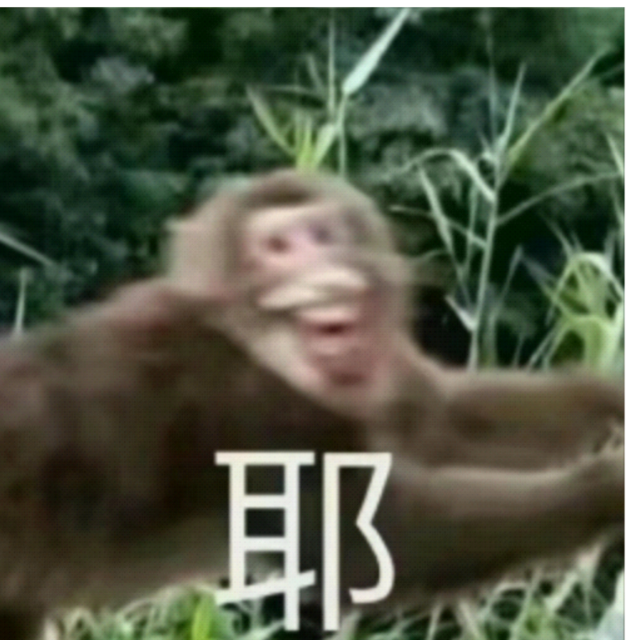 智慧的直立猿
