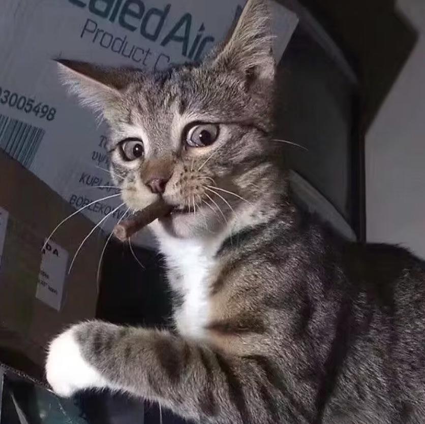 木安