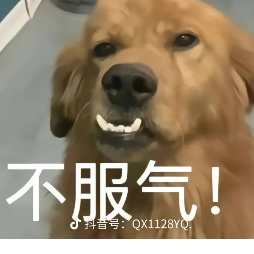 嘴比石头硬