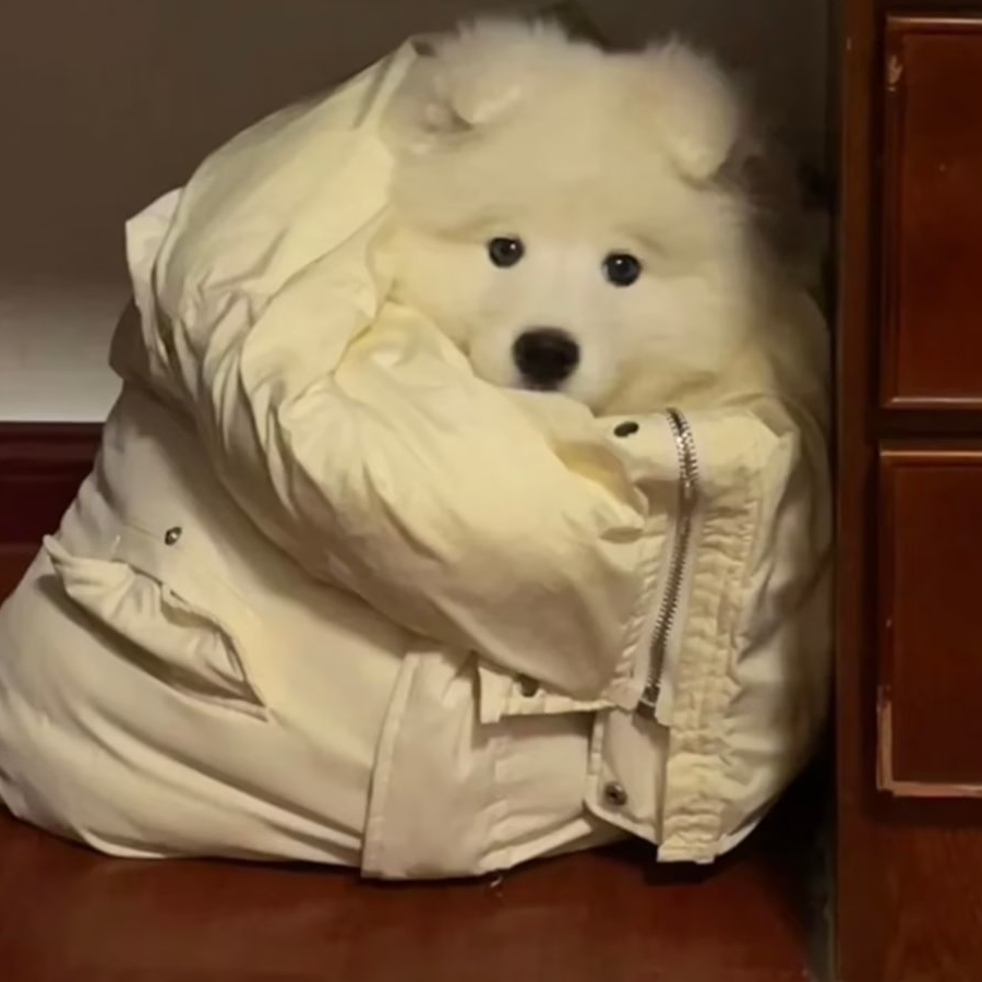 缗蛮