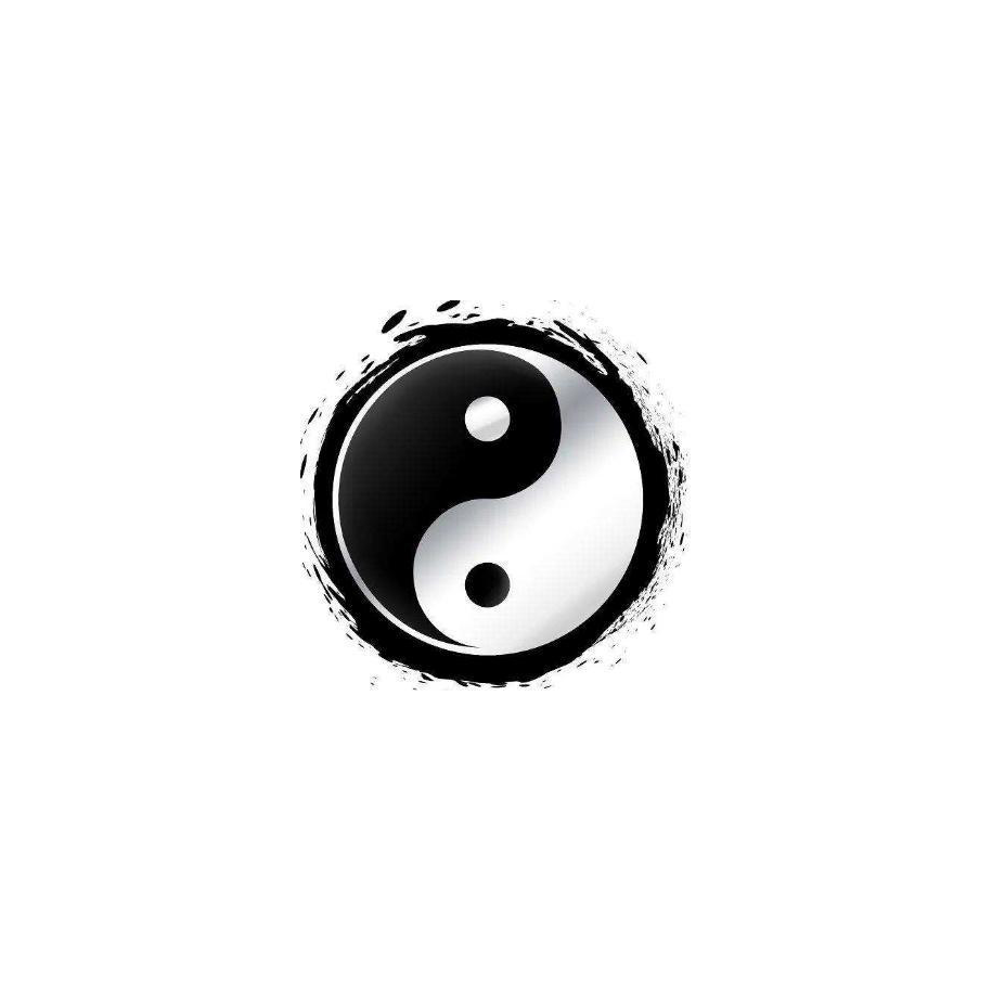 赖皮蝉
