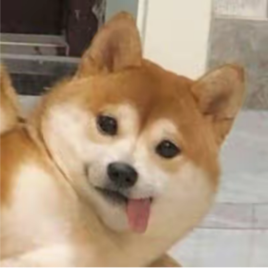 长安某
