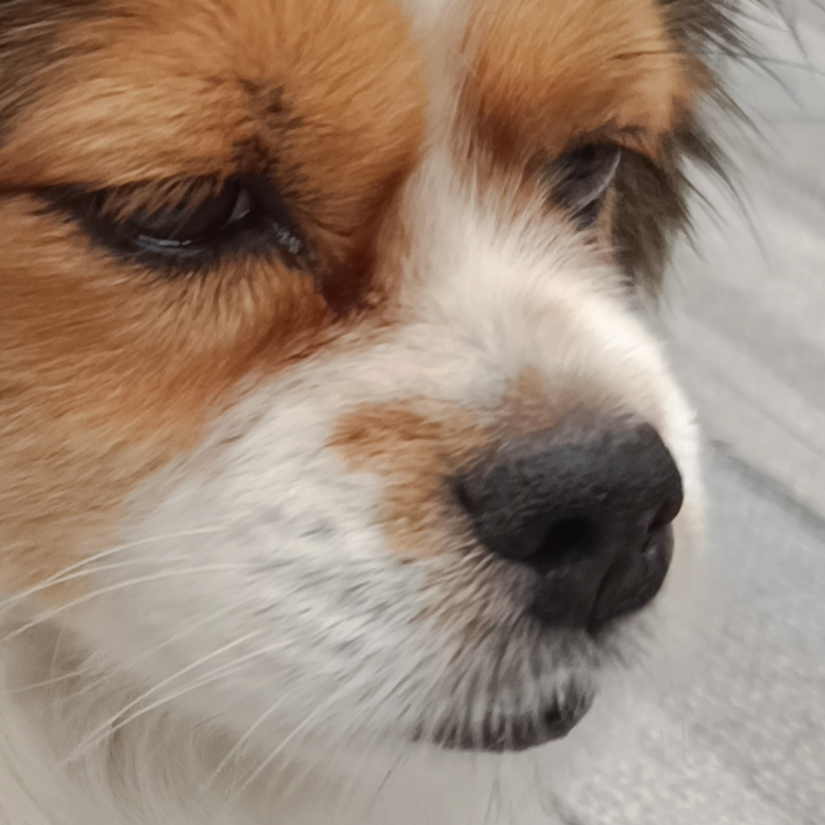 搬砖人