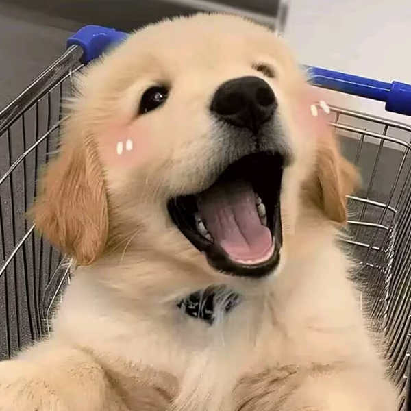 啸啸