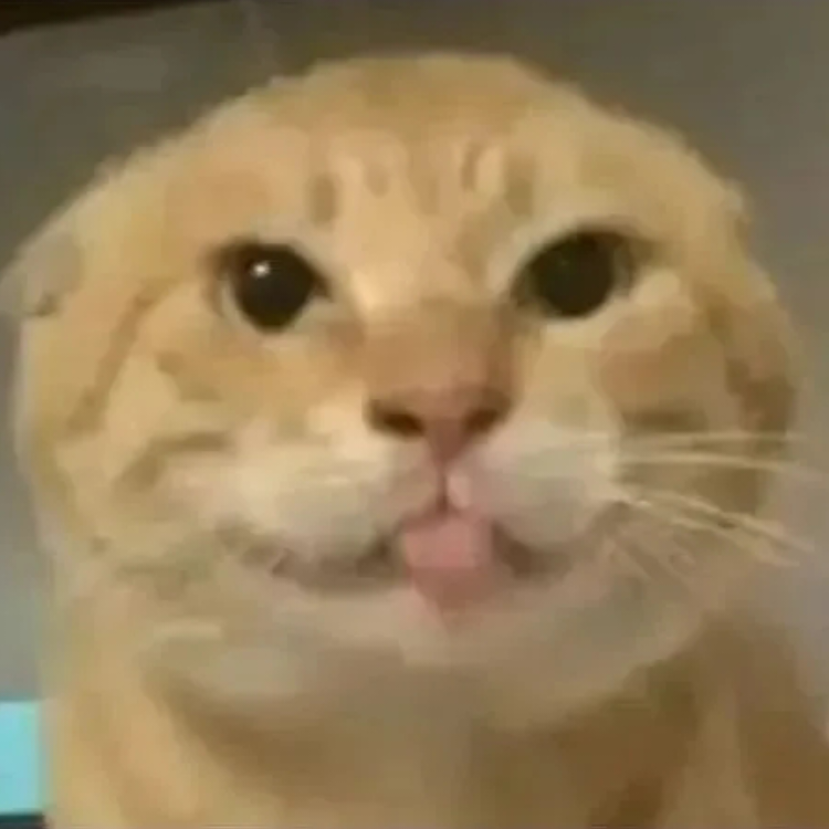 九