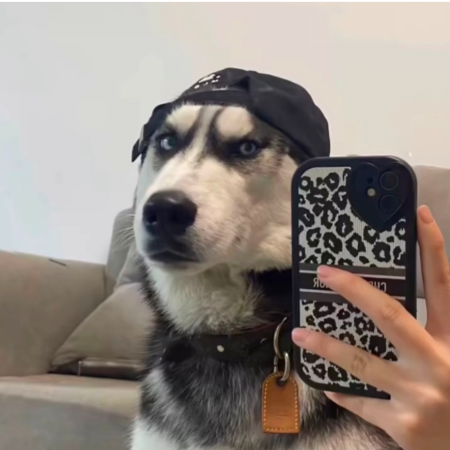 这里没有易中人