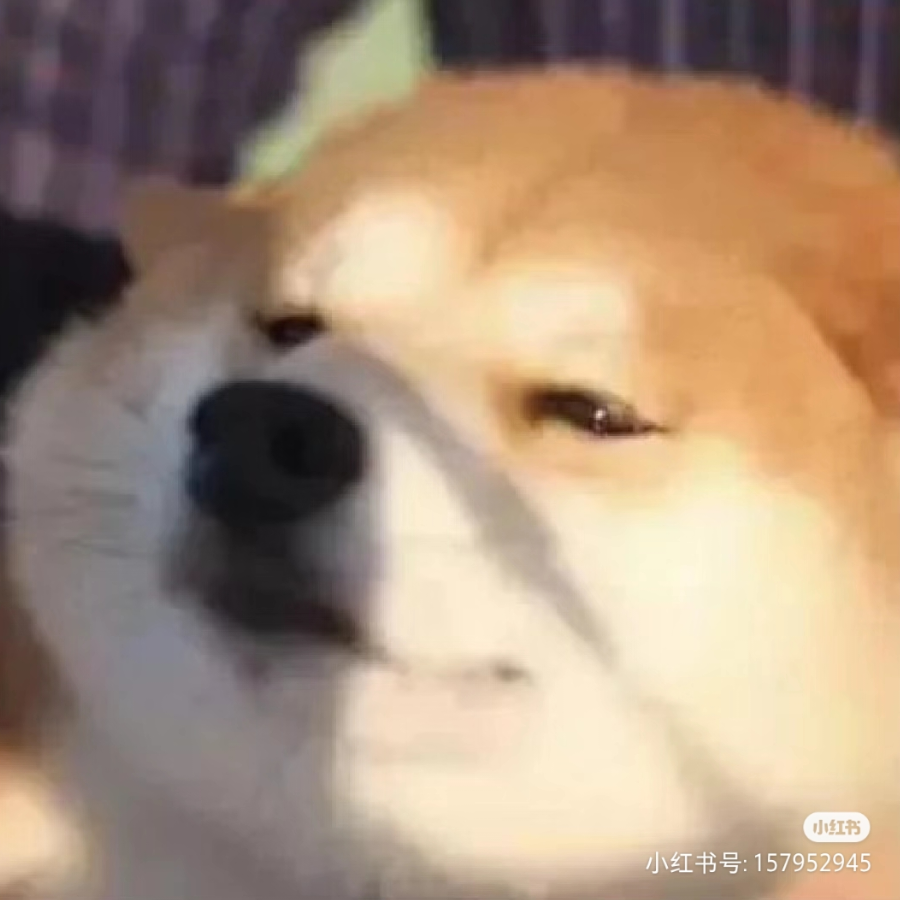 璃白白大人