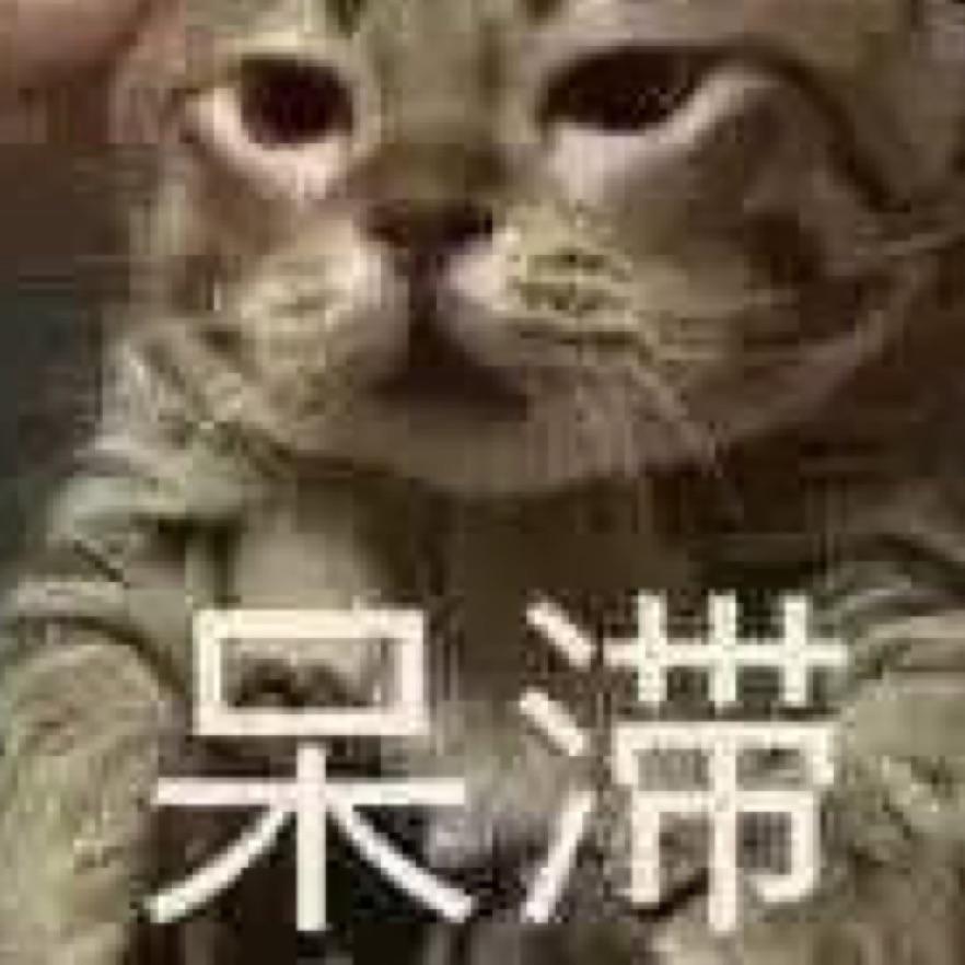 一个猫