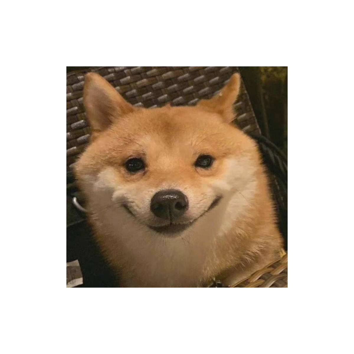 懒懒懒