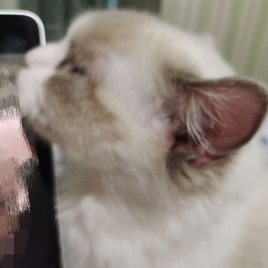 苹非萍
