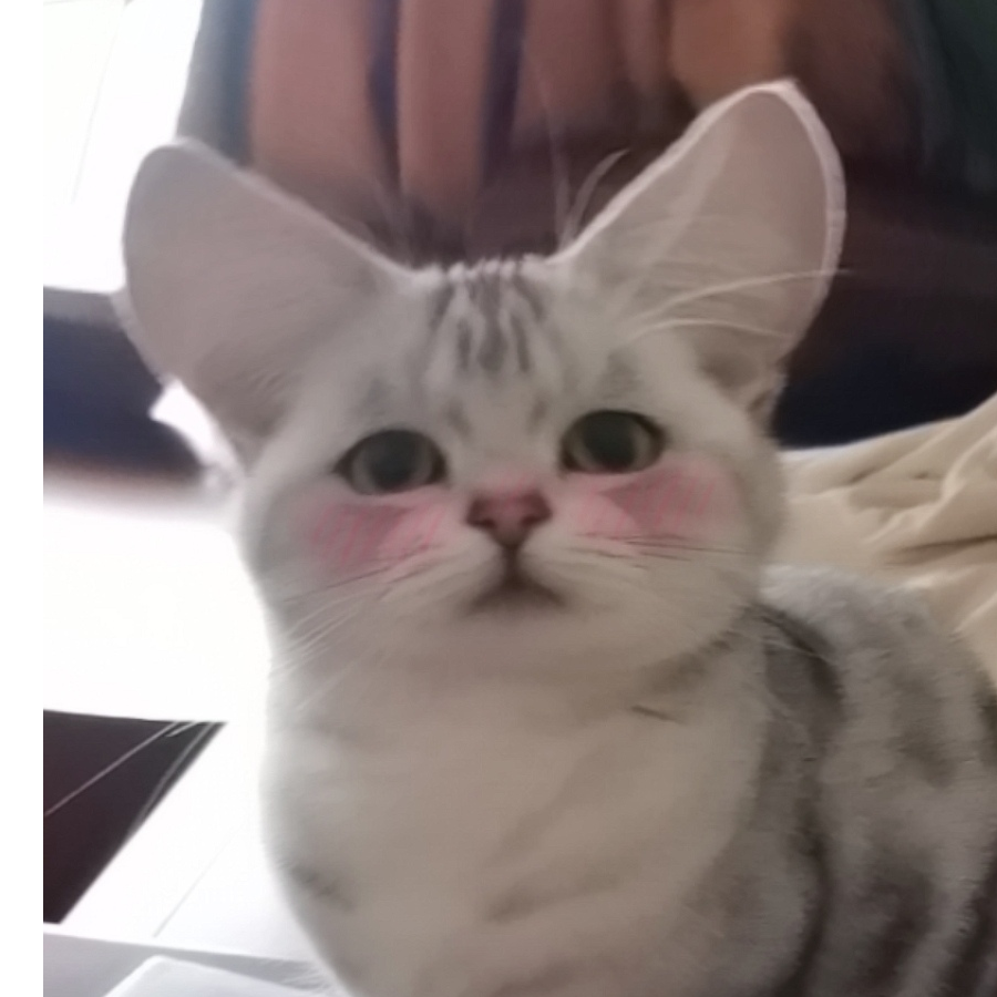 大耳朵妞妞
