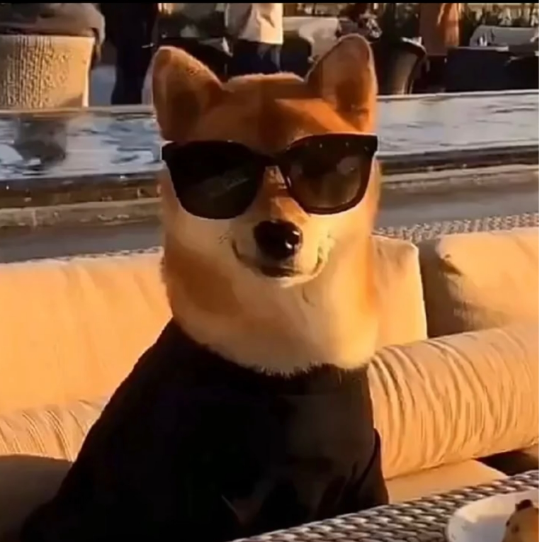 不玩狂热者的老头不是好老头