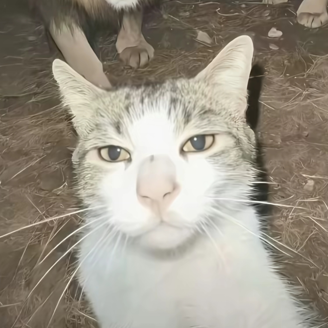 手机用户104824666