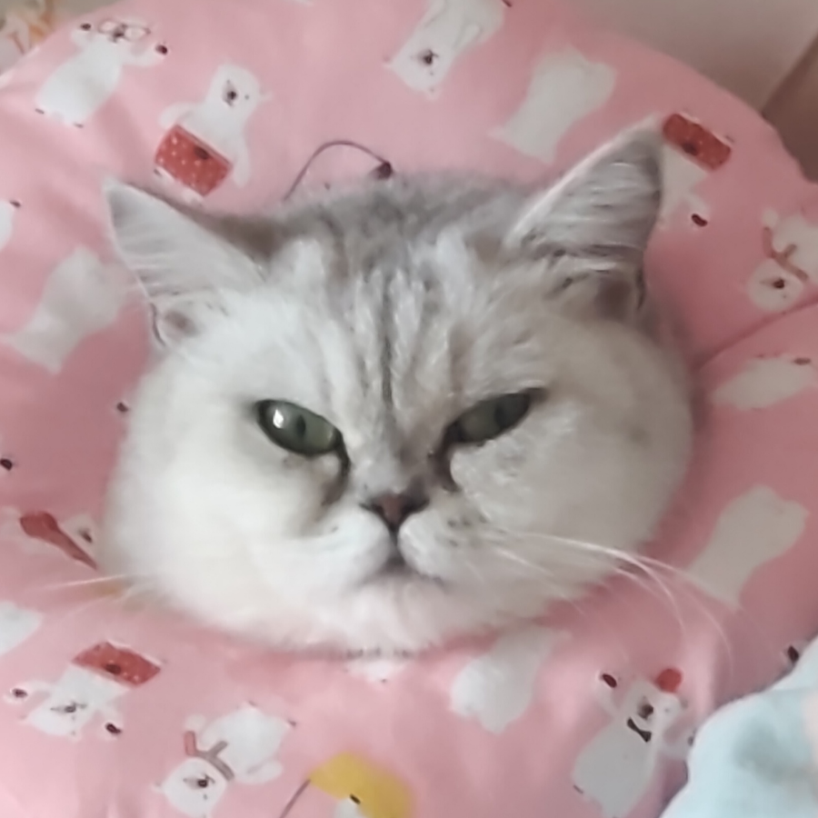 满心欢喜