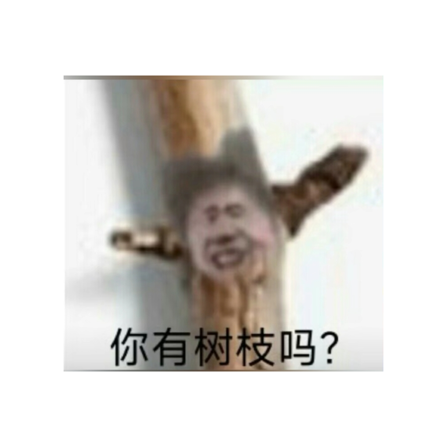 你干嘛