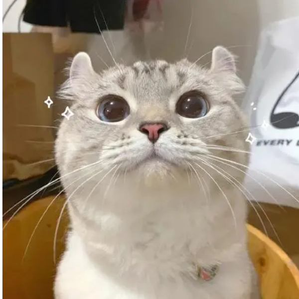我