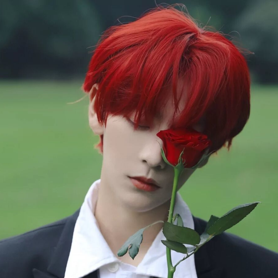 玫瑰花🥀的凋落