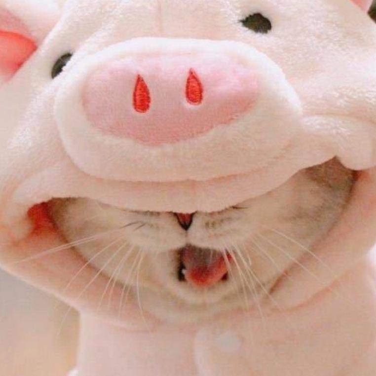 彳亍