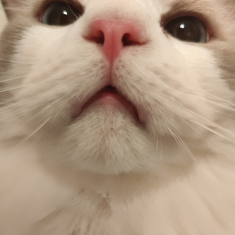 YING