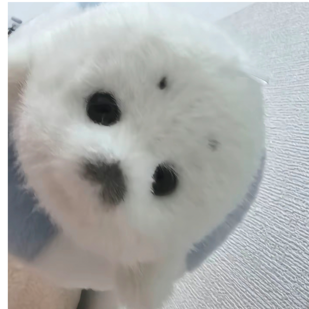诶