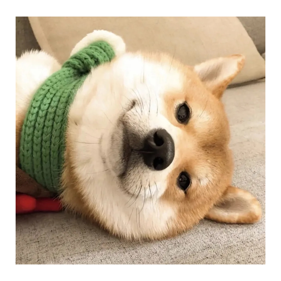 CM