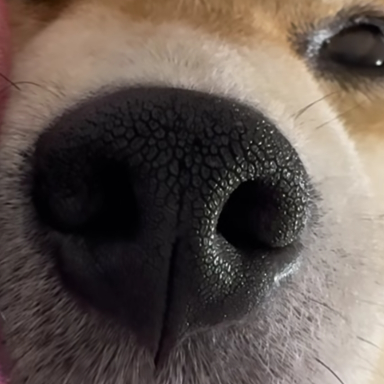 不想玩了