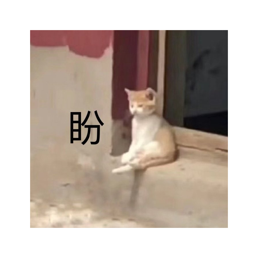 小霖安