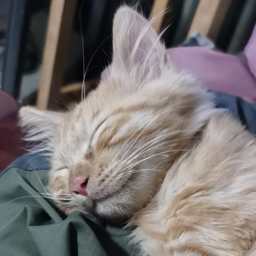 你干嘛？哎呦？