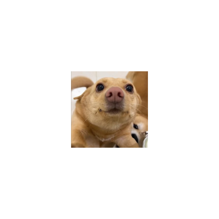 缘分