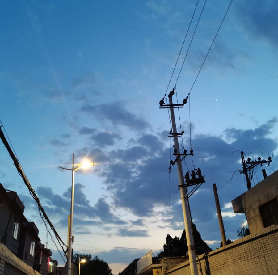 蒲公英
