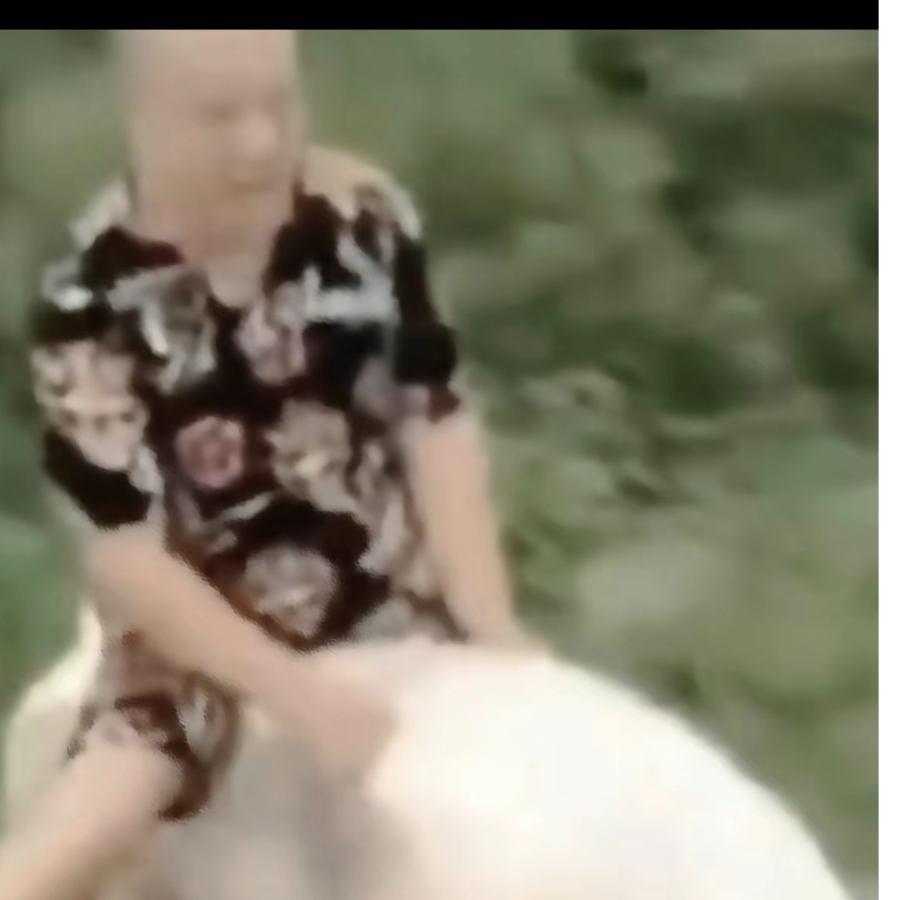南人旧梦-