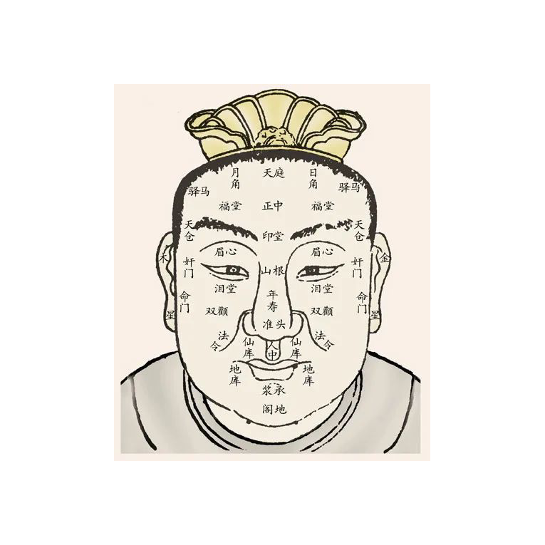 温柔沉浸于夜色