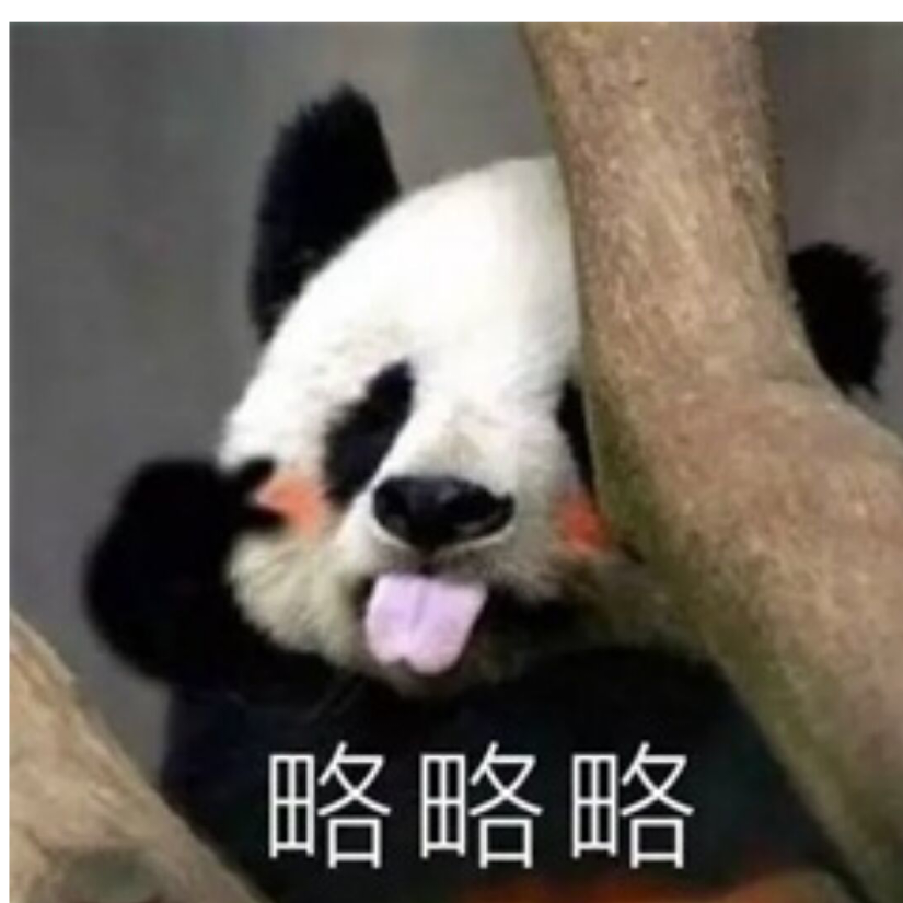 卑鄙小熊猫