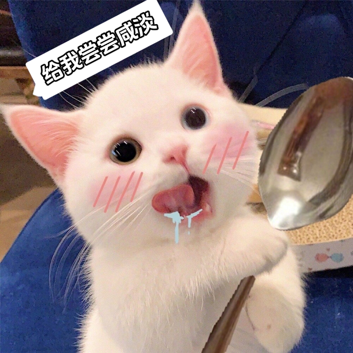 游戏小馋猫