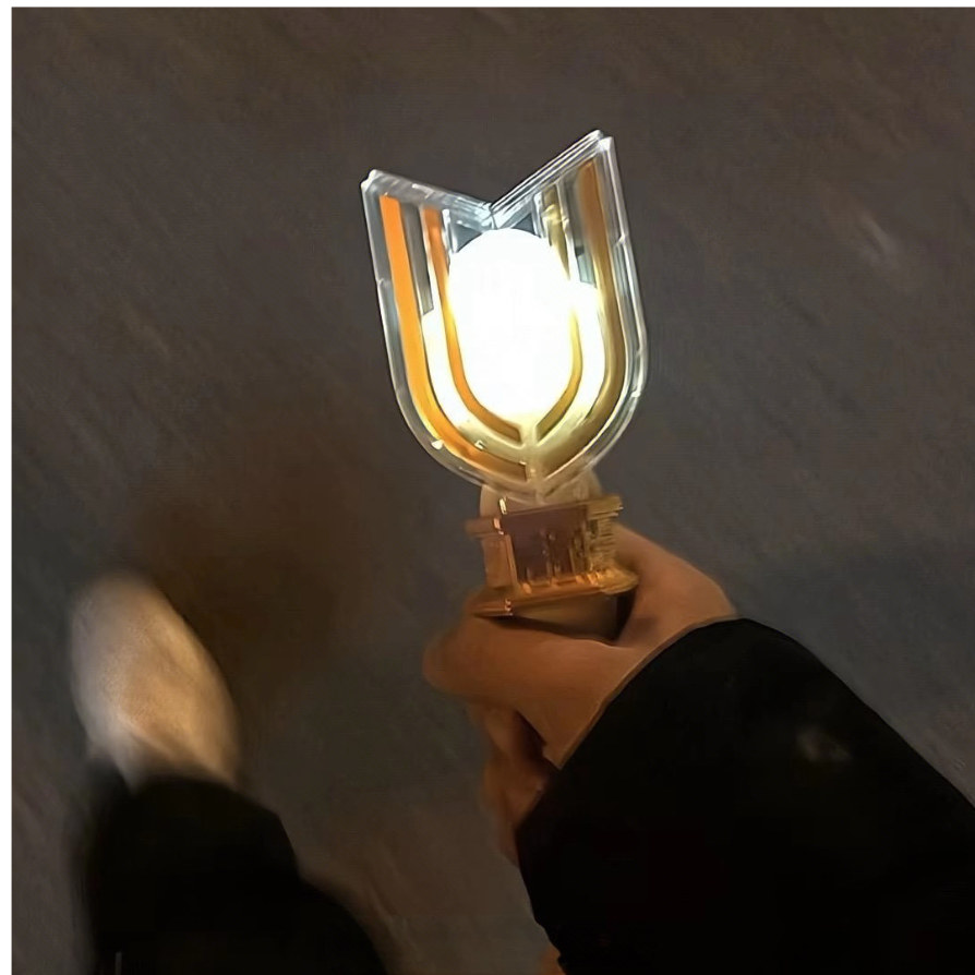 迪佳.