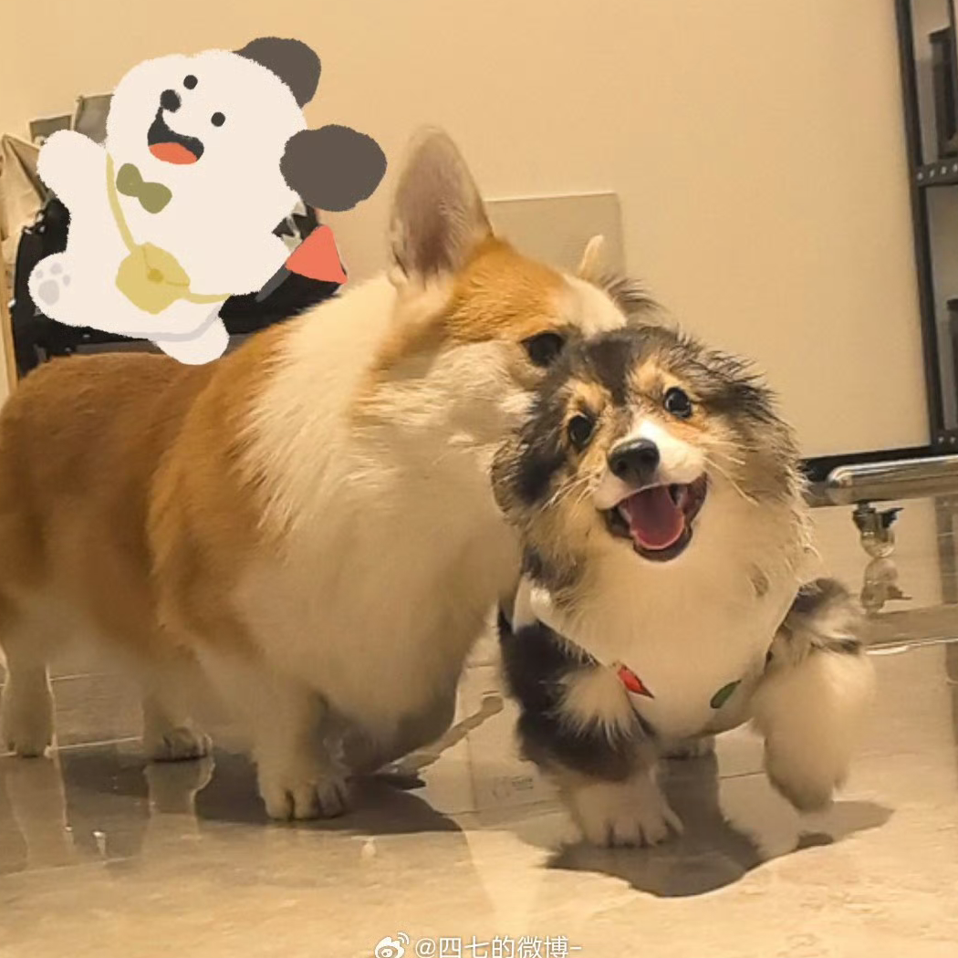 刮风这天，我试着握着你手