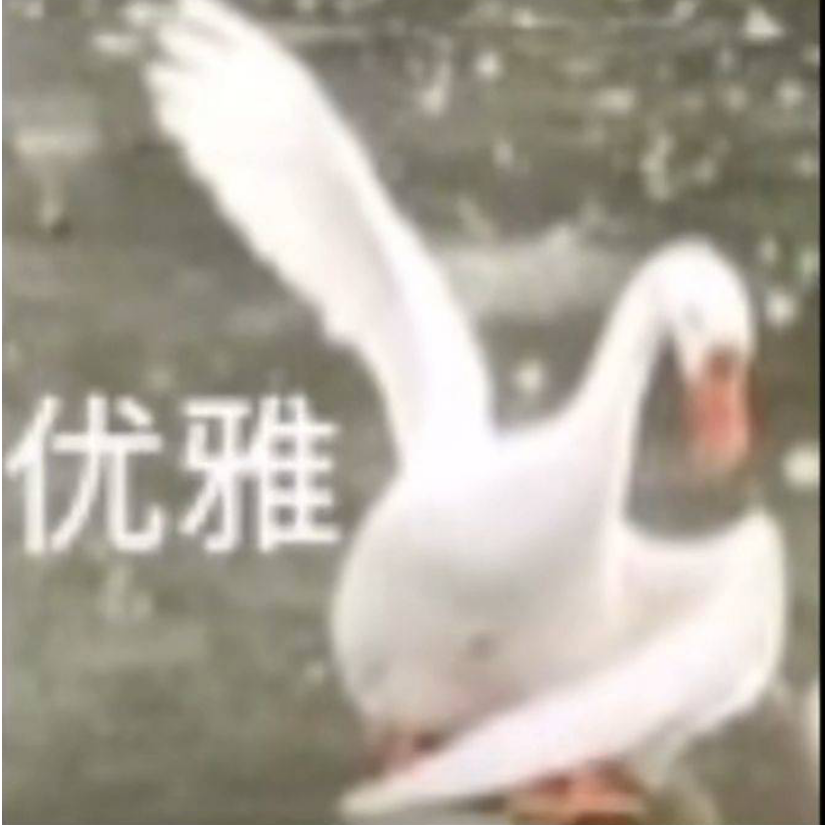 子旭尾巴