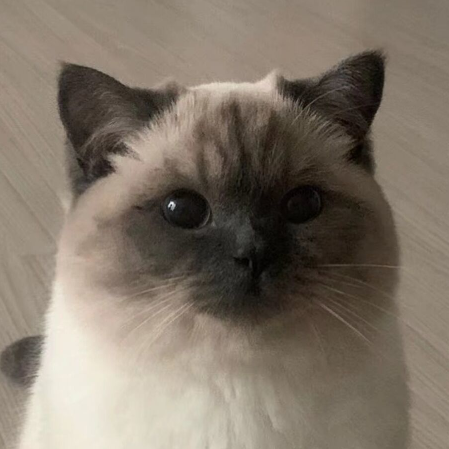 qwq