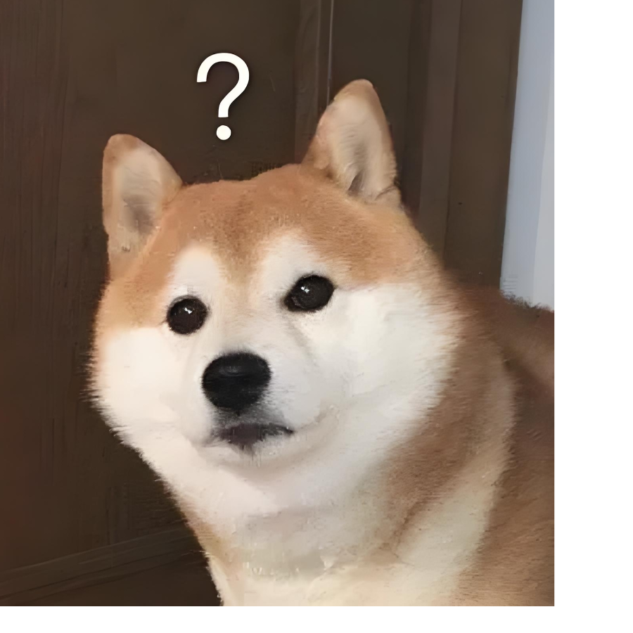 白白
