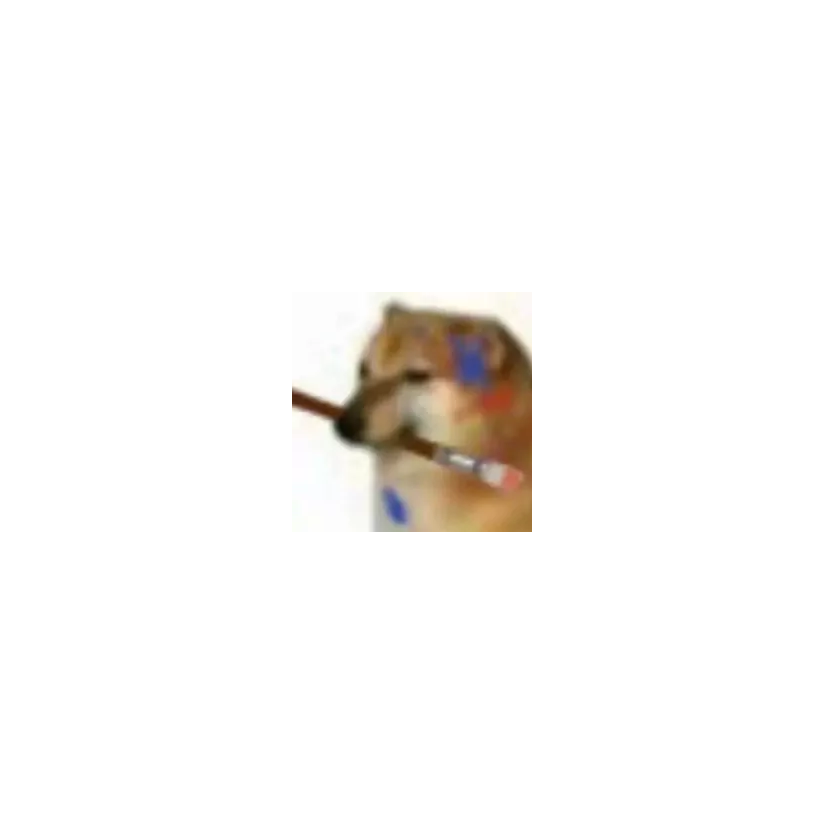 楠楠