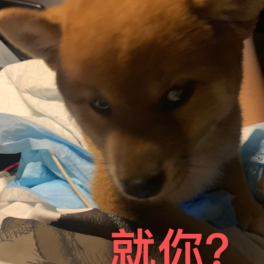 。