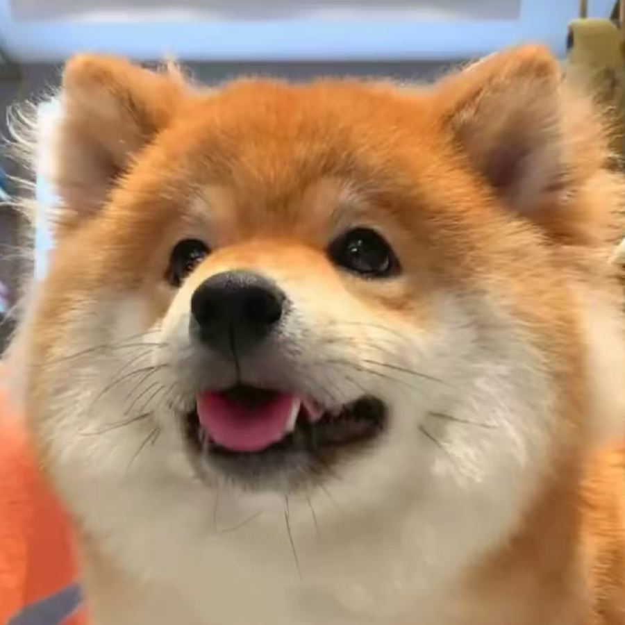 奕境生.