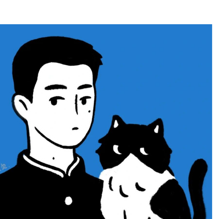 蛋猫