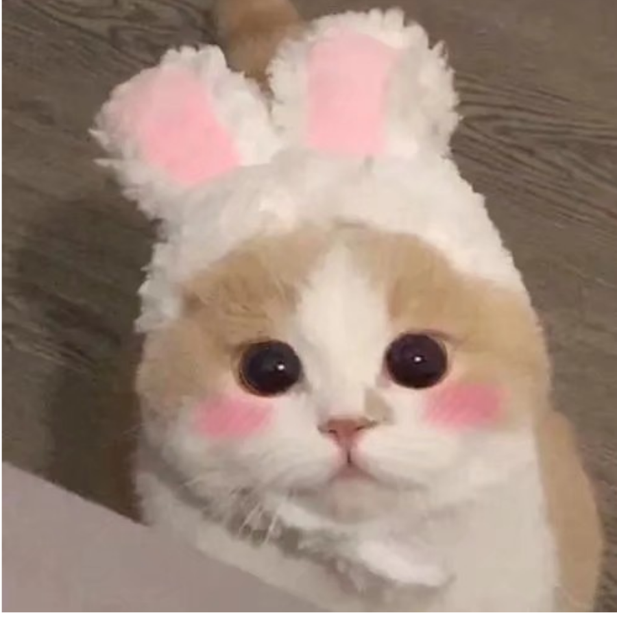 顧裡