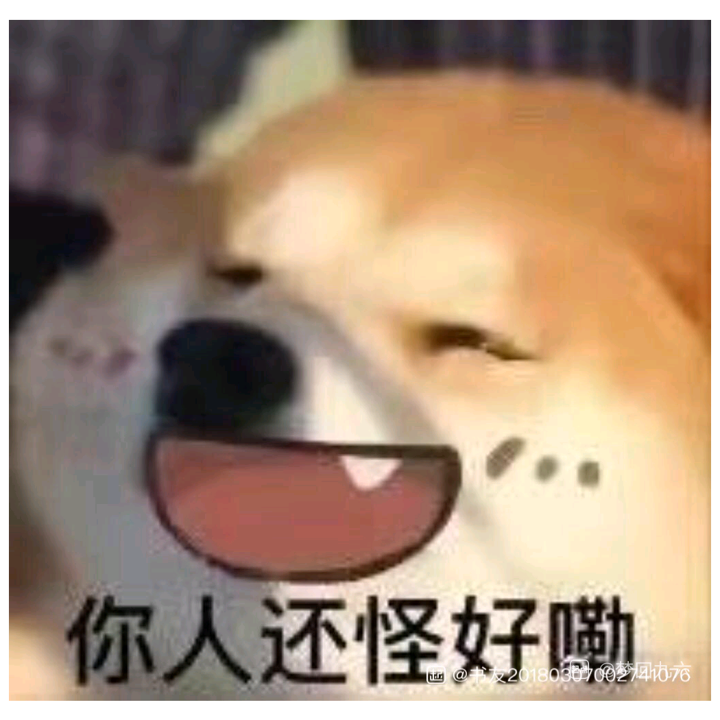 已然遥远的理想之城